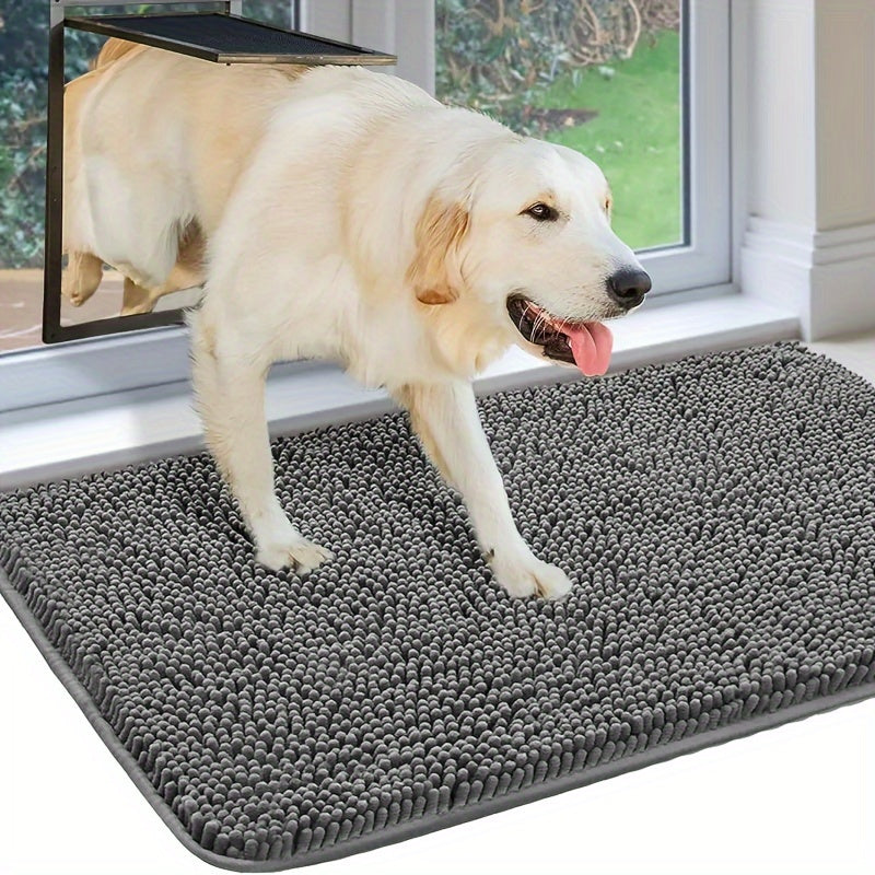 Labrador går över Tassro Mattan