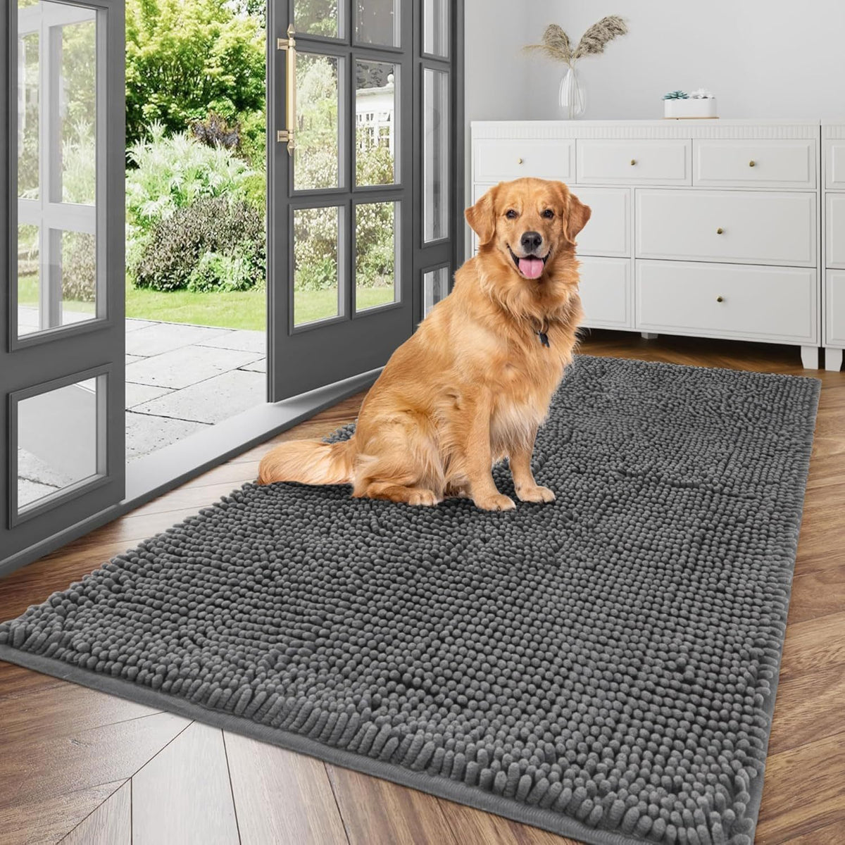 Tassro Mattan i hallen med golden retriever
